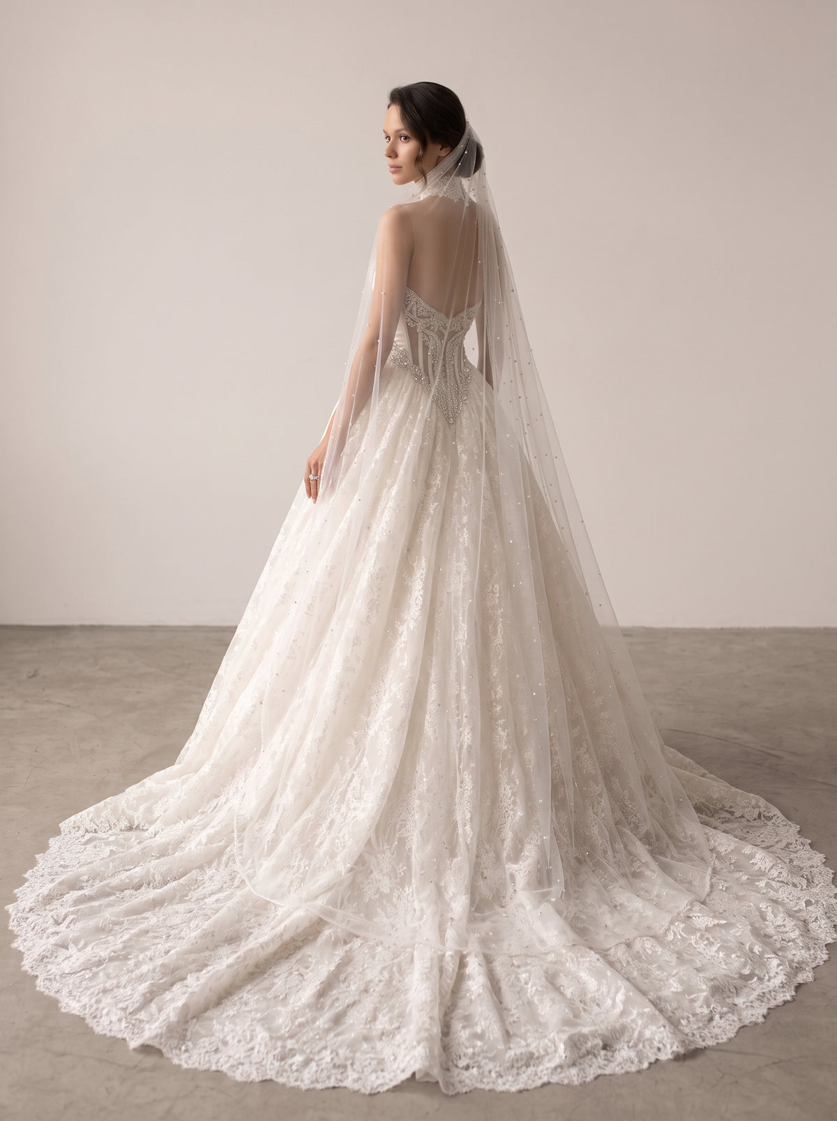Fiores Beatrice ball gown wedding dress, back view